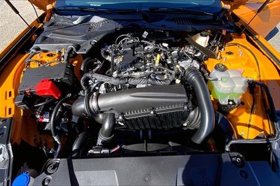 2026 Ford Mustang EcoBoost Premium Fastback