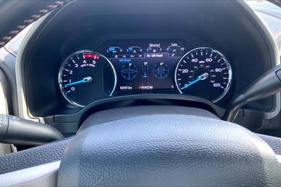 2020 Ford Super Duty F-250 SRW Platinum
